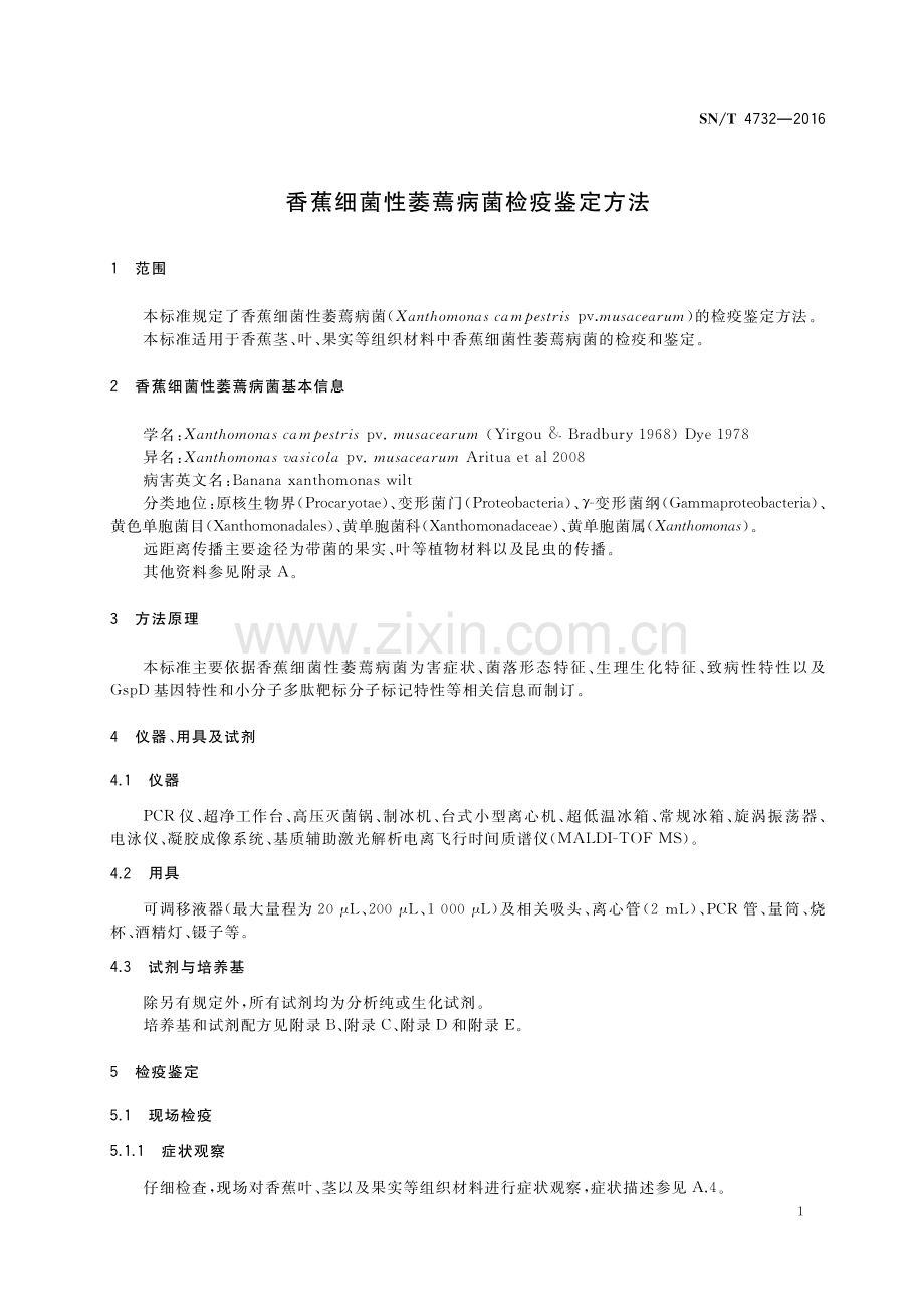 SN∕T 4732-2016 香蕉细菌性萎蔫病菌检疫鉴定方法(出入境检验检疫).pdf_第3页