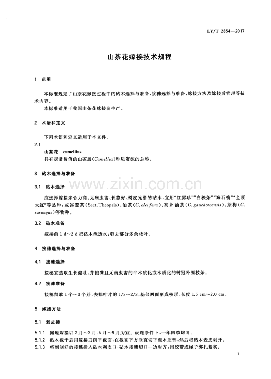 LY∕T 2854-2017 山茶花嫁接技术规程.pdf_第3页