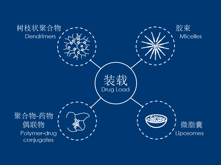 蓝色背景简约科技医疗医学基于大分子的肿瘤靶向药物控释PPT模板.pptx_第3页