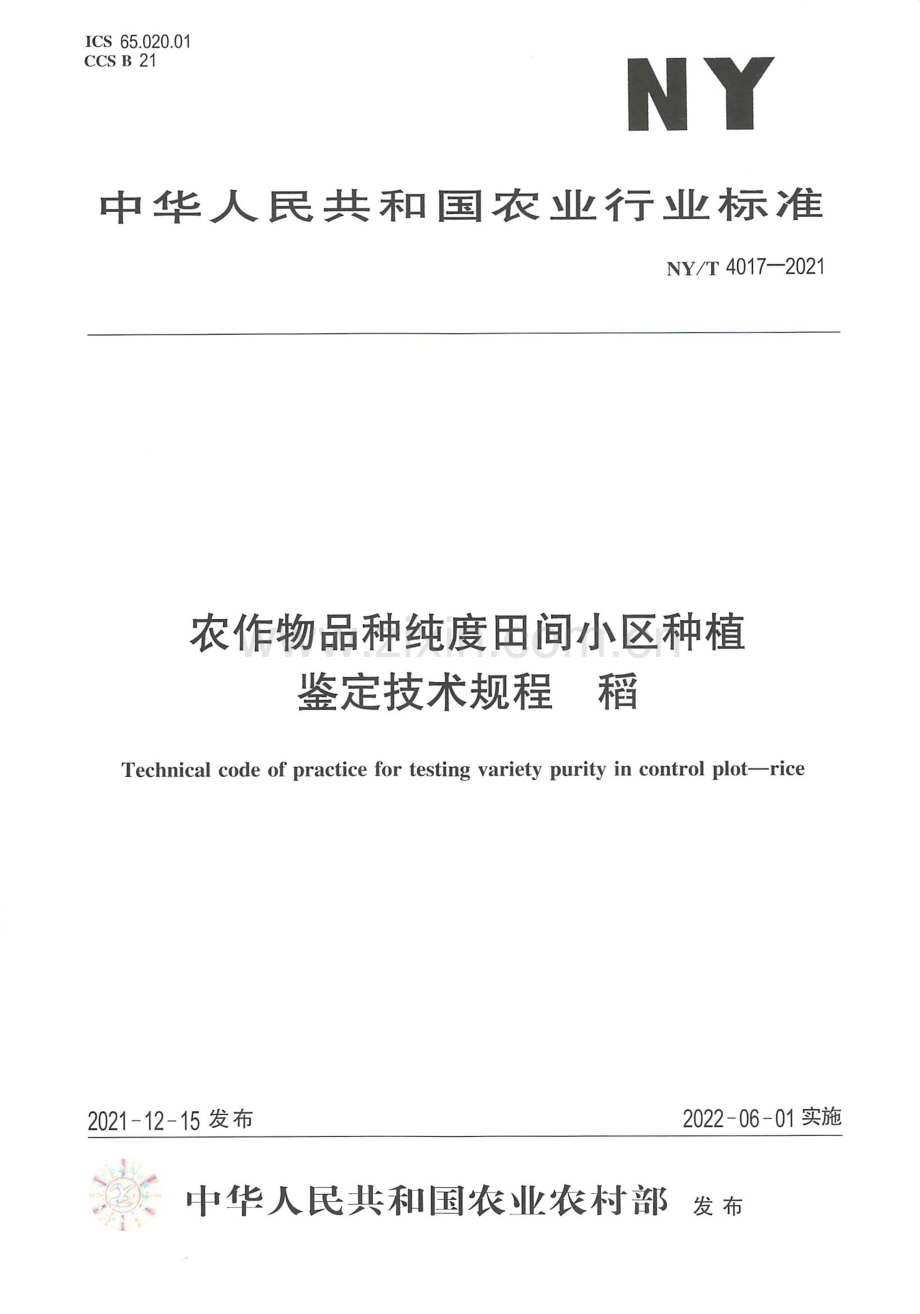 NY∕T 4017-2021 农作物品种纯度田间小区种植鉴定技术规程 稻.pdf_第1页