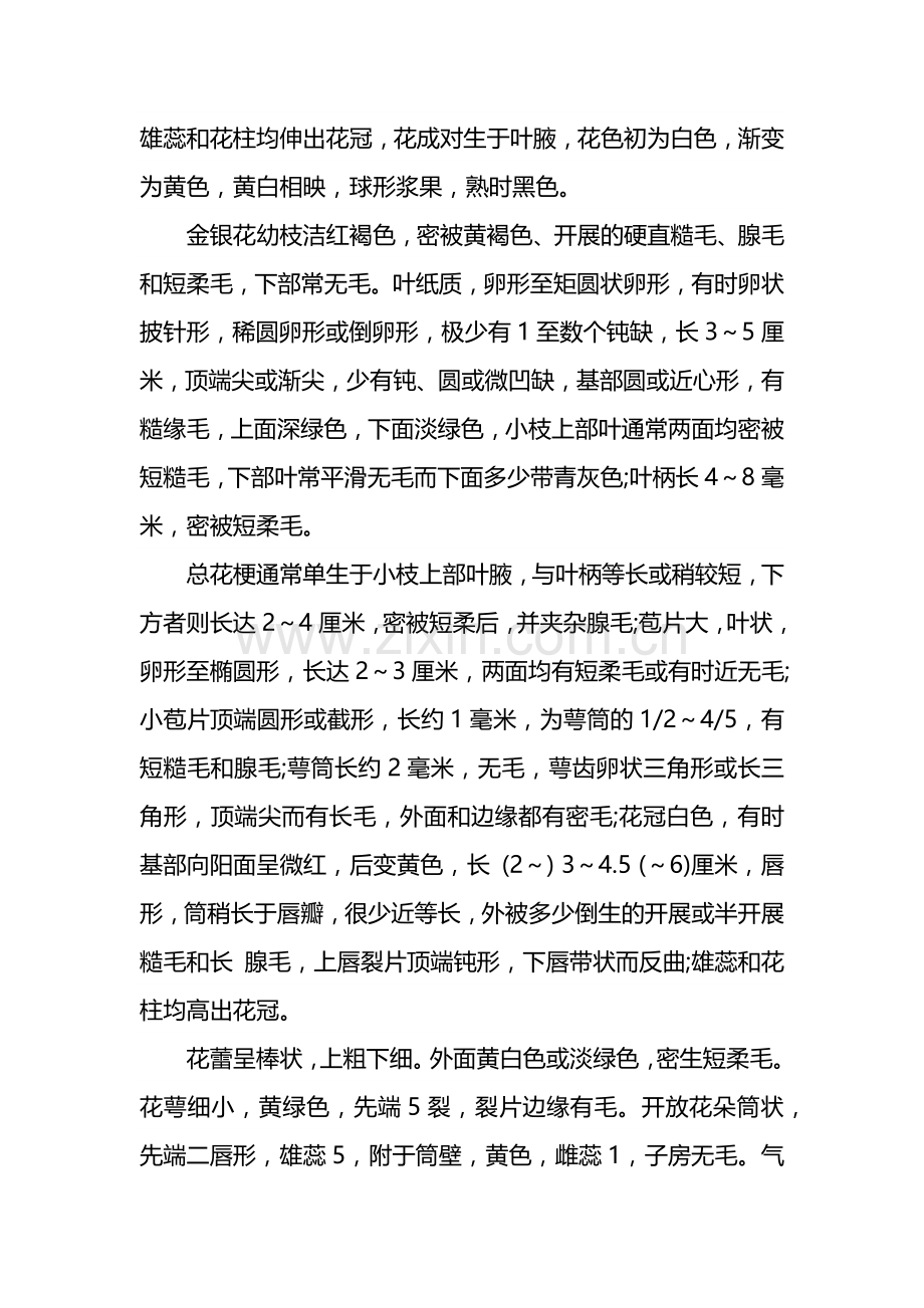 金银花的形态特征和生长习性.docx_第2页