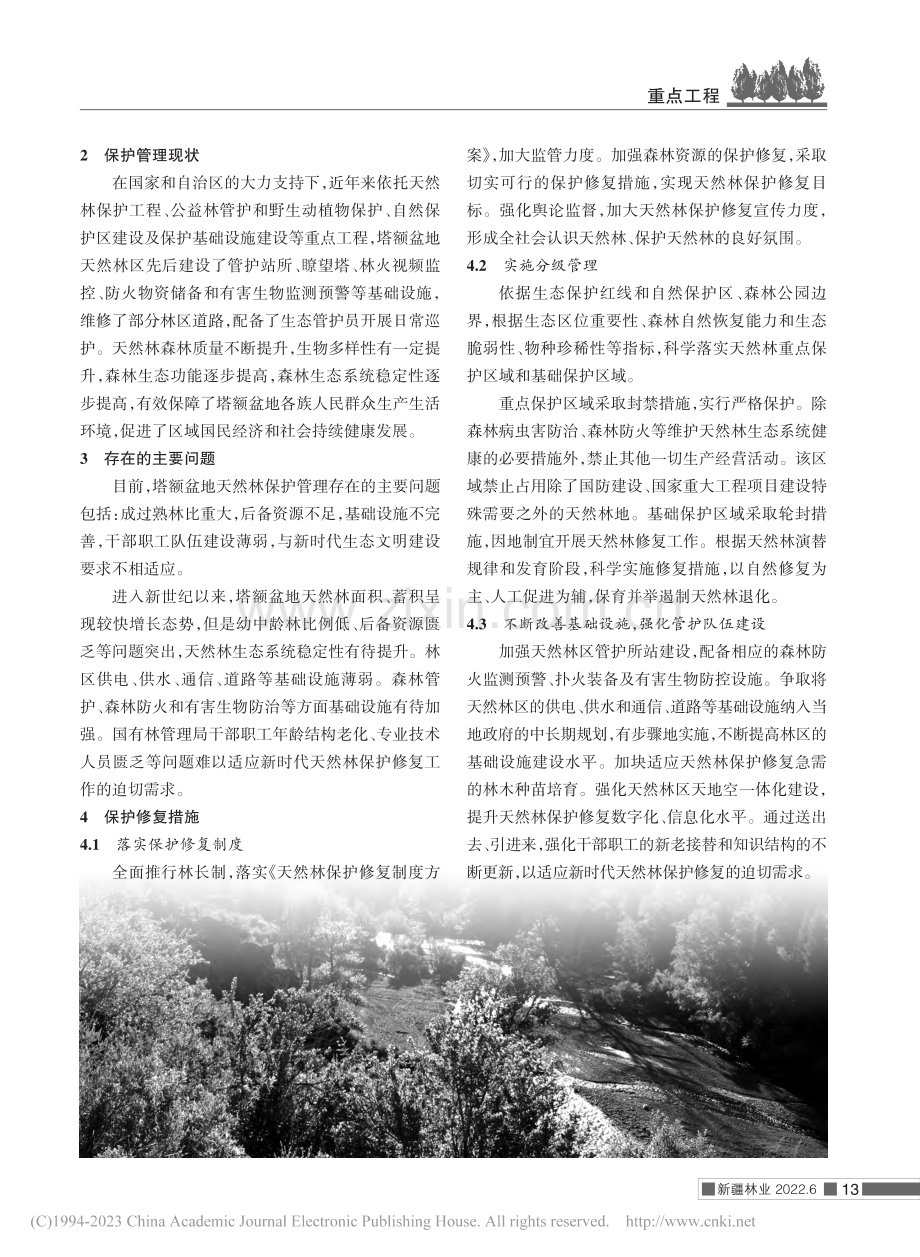 塔额盆地天然林保护管理现状及保护修复措施探讨_陈强.pdf_第2页