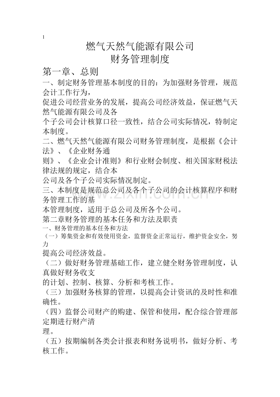 燃气天然气能源有限公司财务管理制度.docx_第1页