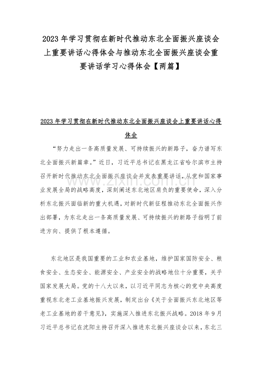 2023年学习贯彻在新时代推动东北全面振兴座谈会上重要讲话心得体会与推动东北全面振兴座谈会重要讲话学习心得体会【两篇】.docx_第1页