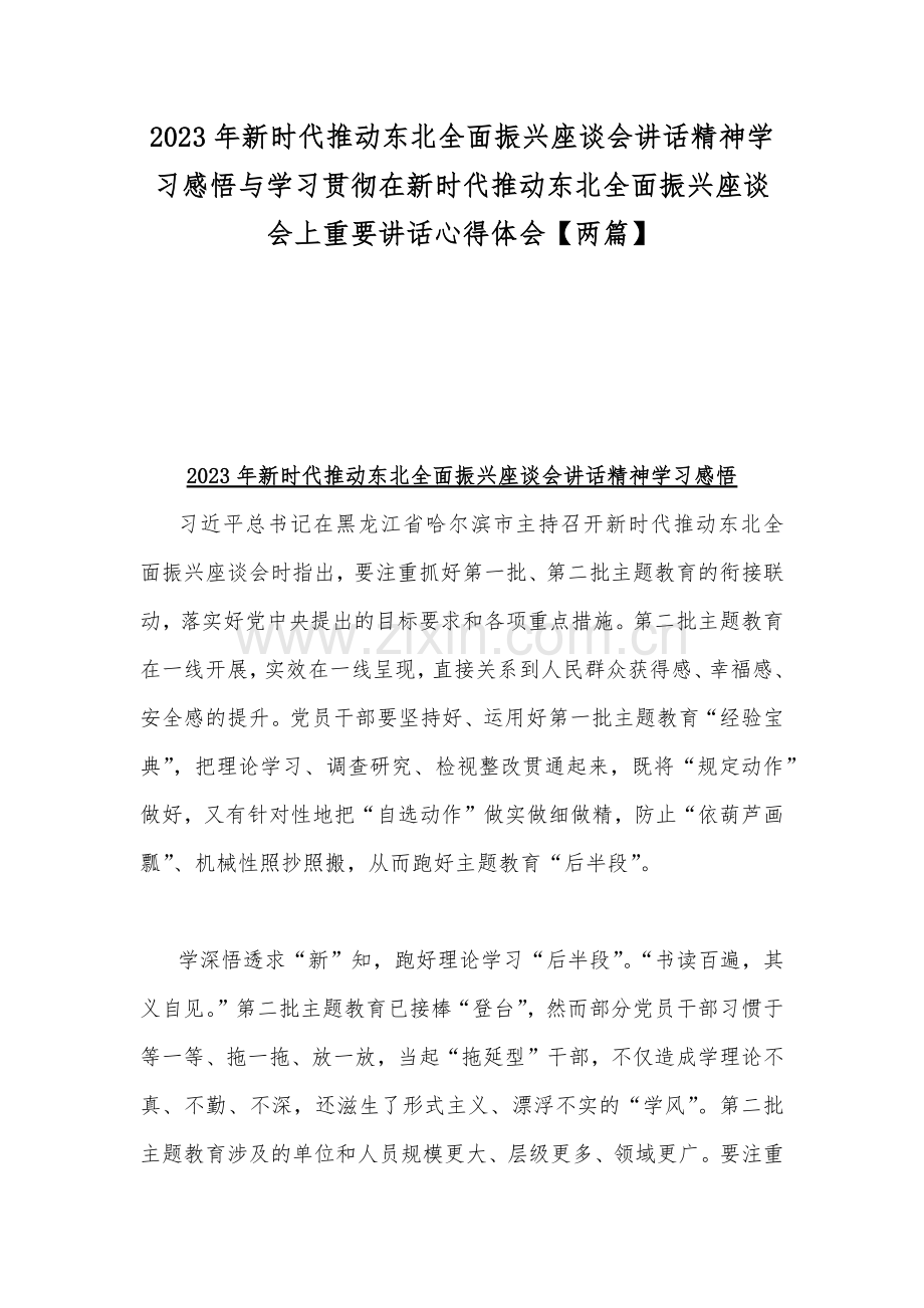 2023年新时代推动东北全面振兴座谈会讲话精神学习感悟与学习贯彻在新时代推动东北全面振兴座谈会上重要讲话心得体会【两篇】.docx_第1页