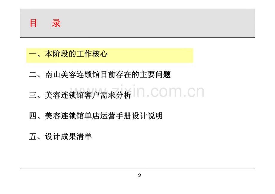 WSD管理顾问《美容连锁店运营管理体系设计方案》.pdf_第2页