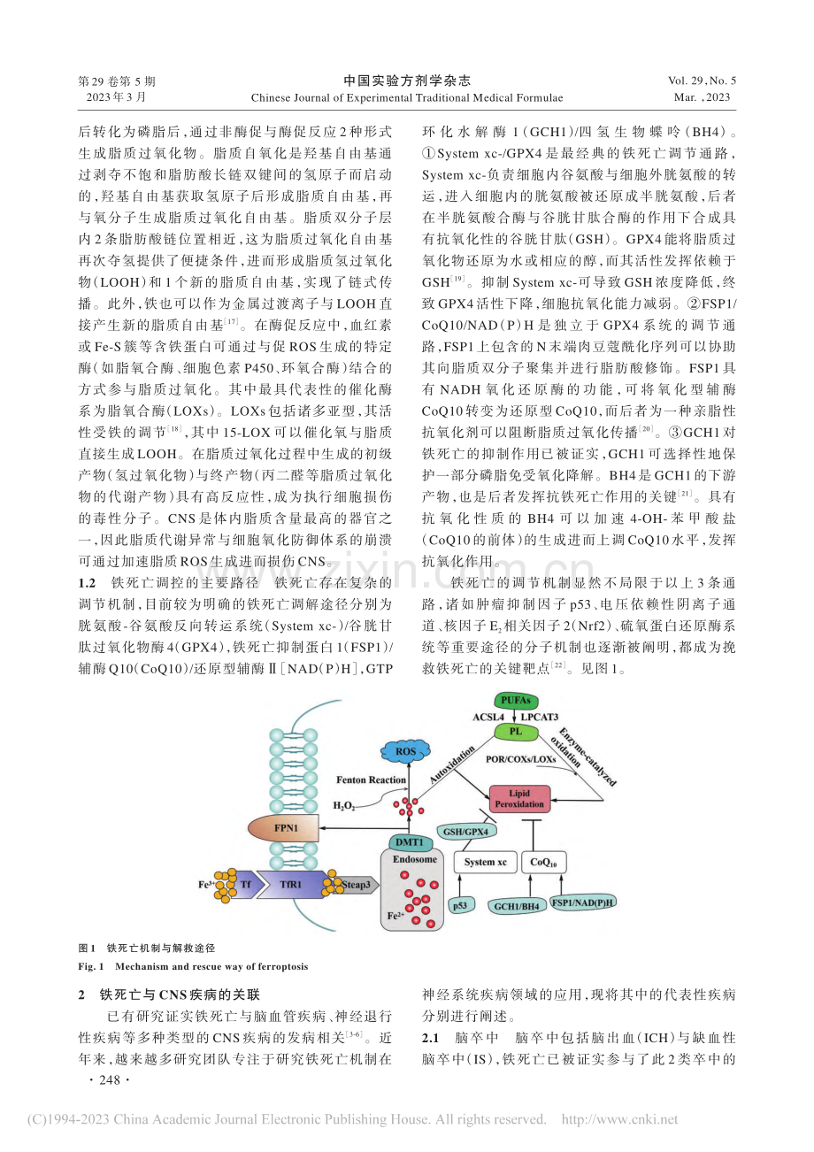 铁死亡与中枢神经系统疾病的关联概述及中医药干预进展_刘浩.pdf_第3页