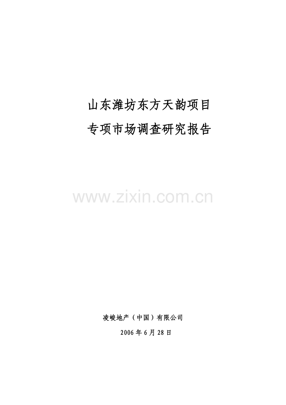 潍坊东方天韵项目专项市场调查研究报告.docx_第1页