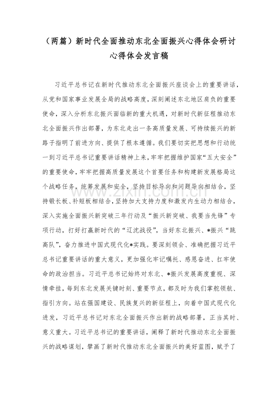 （两篇）新时代全面推动东北全面振兴心得体会研讨心得体会发言稿.docx_第1页