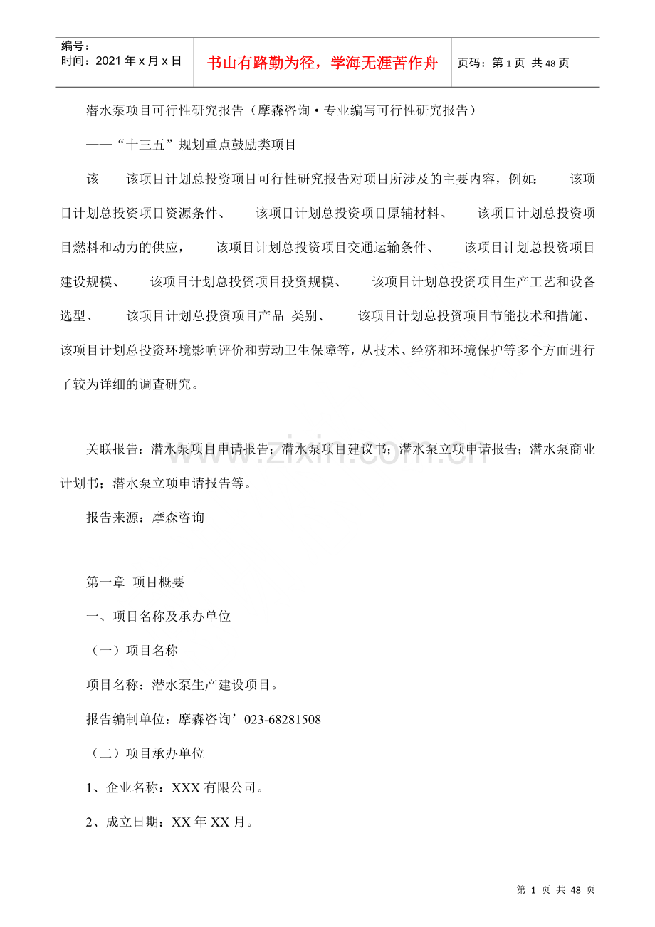 潜水泵项目可行性研究报告.docx_第1页