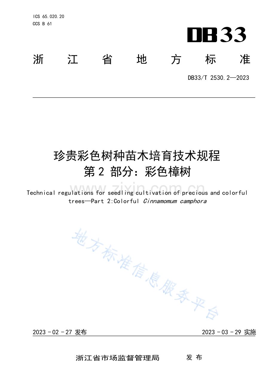 DB33_T 2530.2-2023珍贵彩色树种苗木培育技术规程 第2部分_彩色樟树.docx_第1页