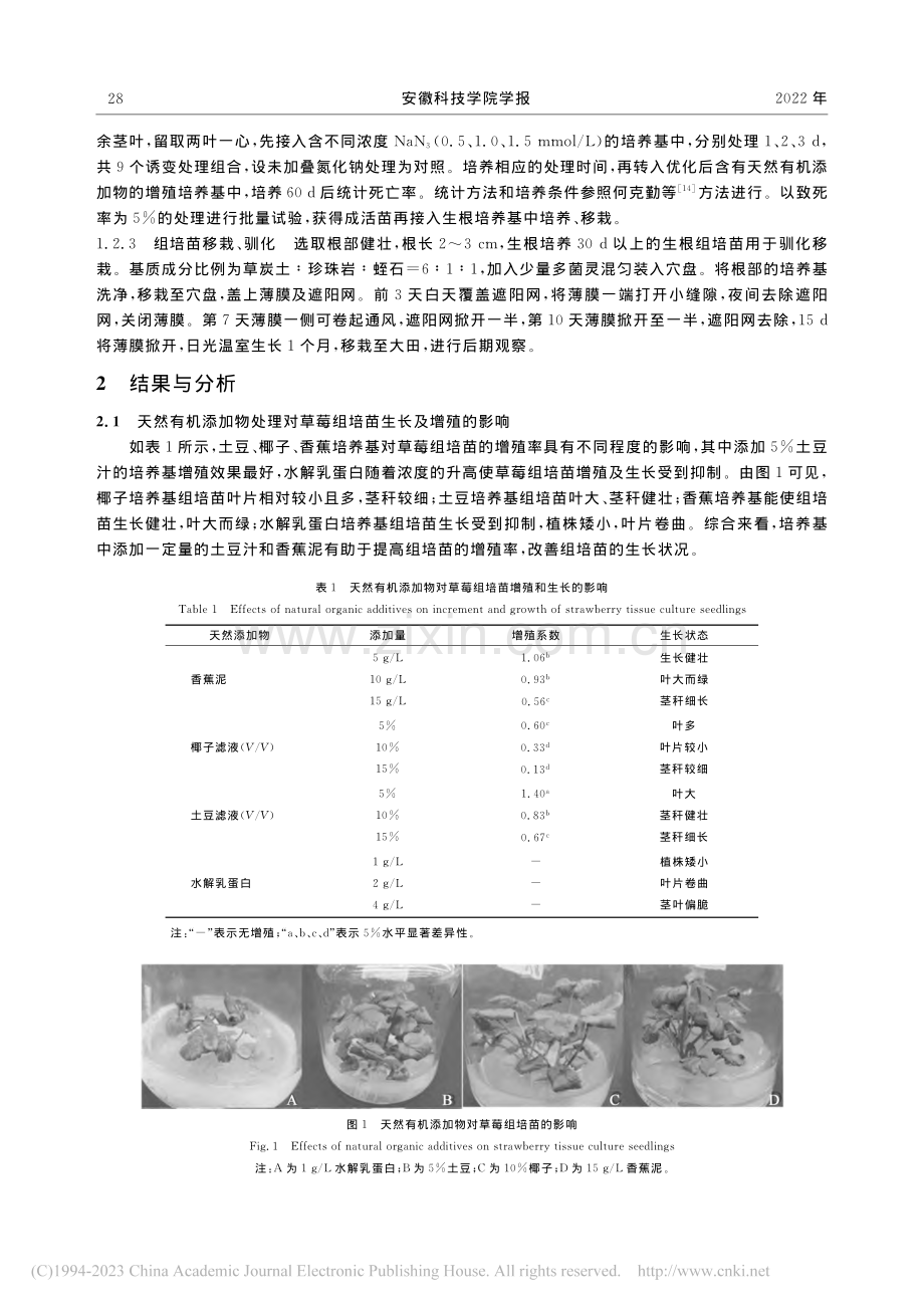 天然有机添加物对草莓组培苗...aN_3离体诱变体系的建立_徐梦琴.pdf_第3页