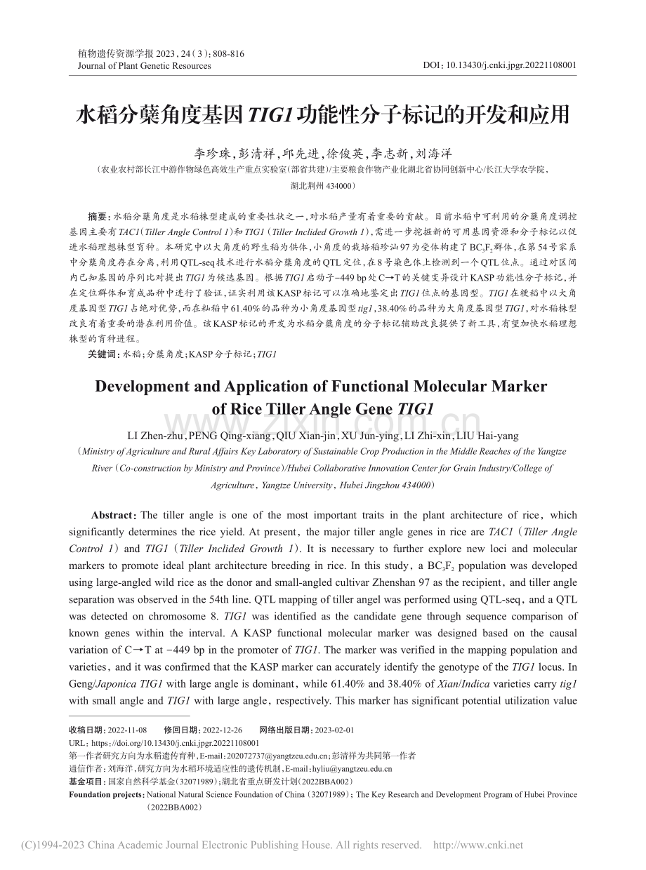 水稻分蘖角度基因TIG1功能性分子标记的开发和应用_李珍珠.pdf_第1页