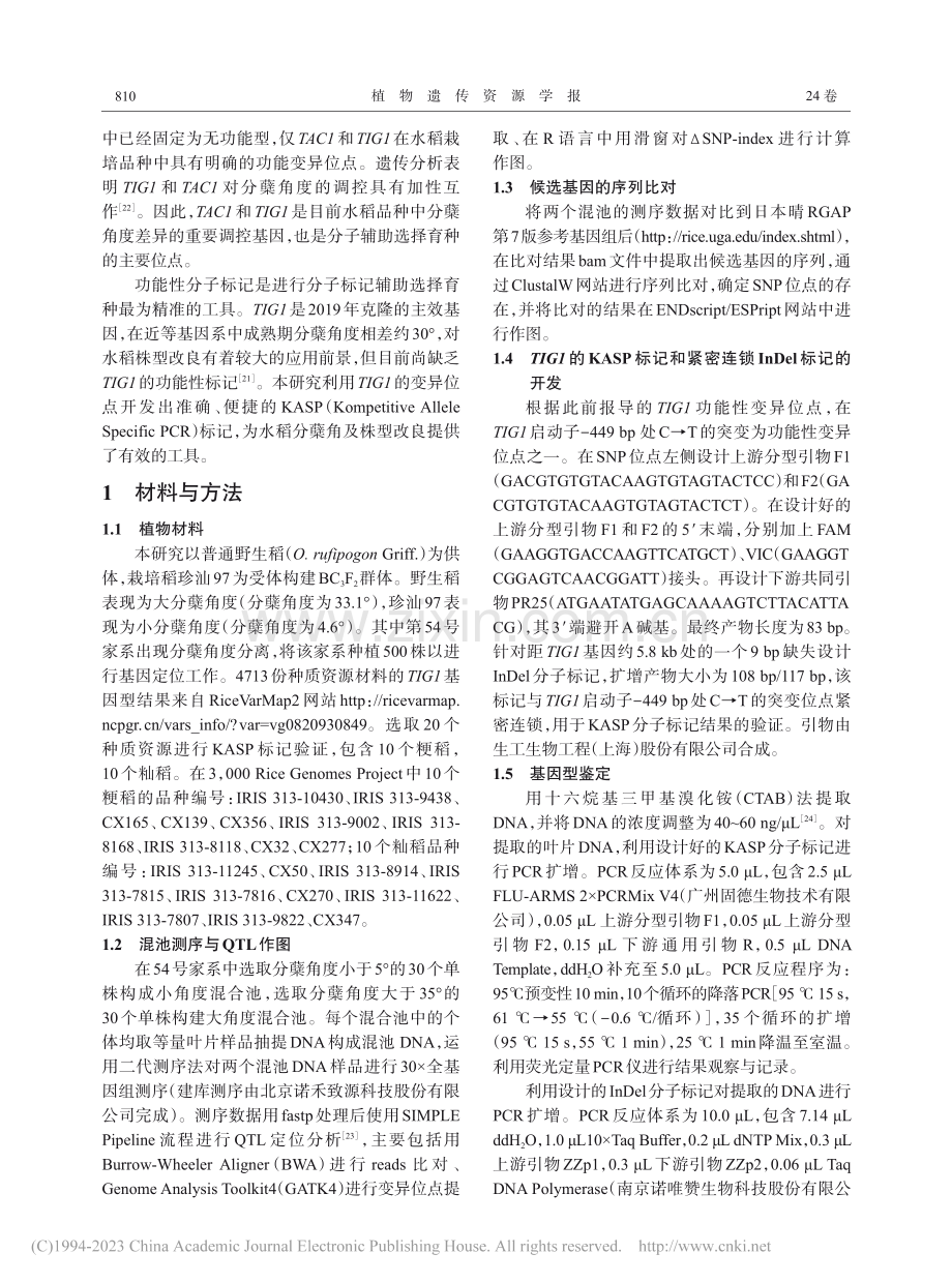 水稻分蘖角度基因TIG1功能性分子标记的开发和应用_李珍珠.pdf_第3页