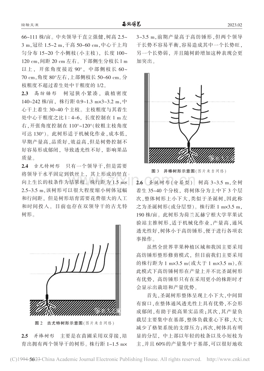 谈矮化密植苹果园整形修剪_周游.pdf_第2页