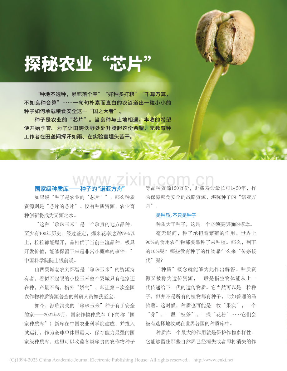 探秘农业“芯片”.pdf_第1页
