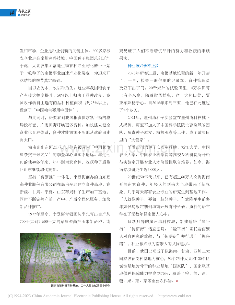 探秘农业“芯片”.pdf_第3页