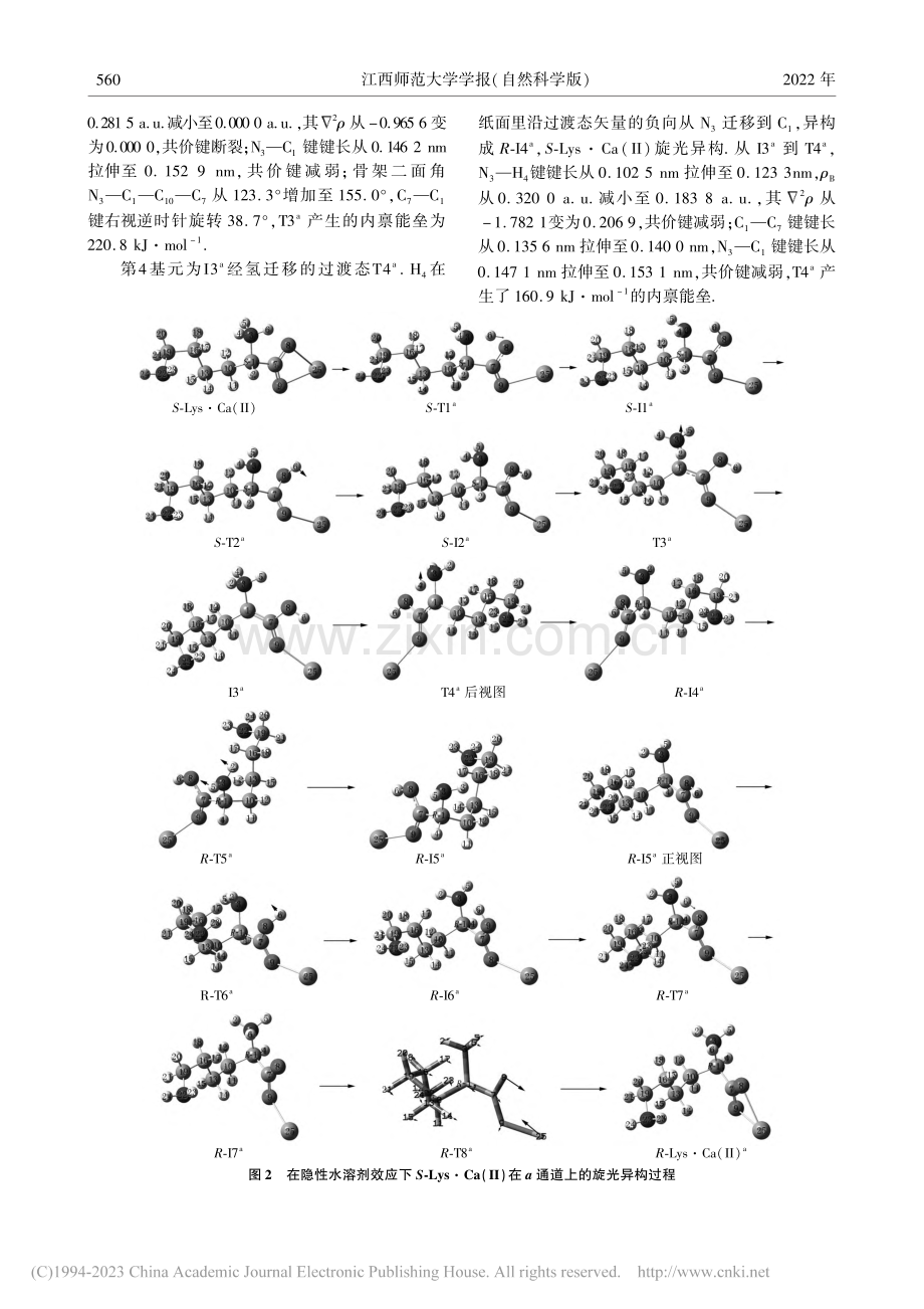 水液相下赖氨酸钙(II)配合物旋光异构的DFT研究_柳国洪.pdf_第3页