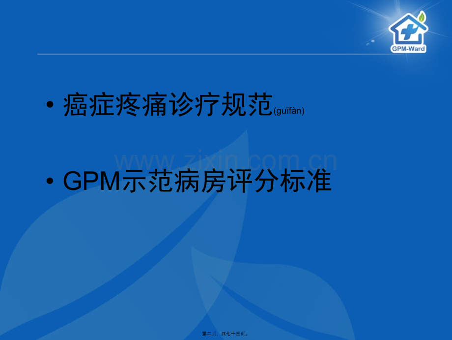 癌症疼痛诊疗规范及评分标准.ppt_第2页