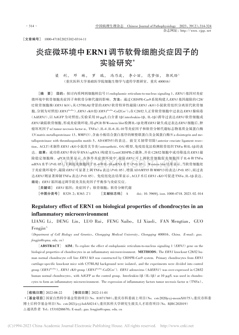 炎症微环境中ERN1调节软骨细胞炎症因子的实验研究_梁利.pdf_第1页