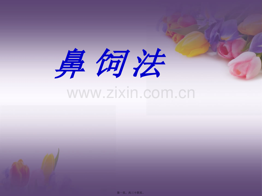 版鼻饲法操作PPT.ppt_第1页