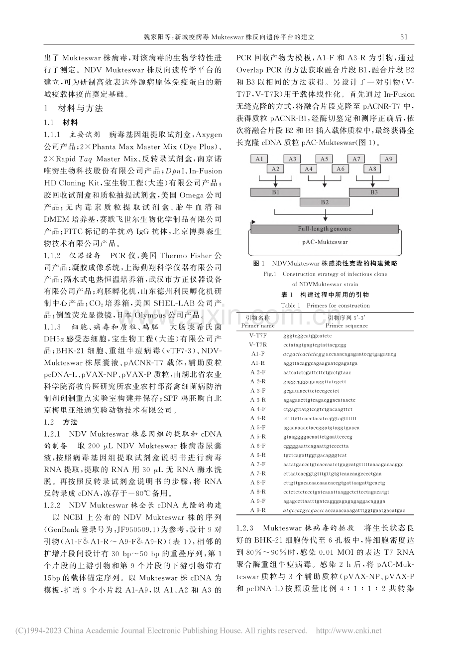 新城疫病毒Mukteswar株反向遗传平台的建立_魏家阳.pdf_第2页