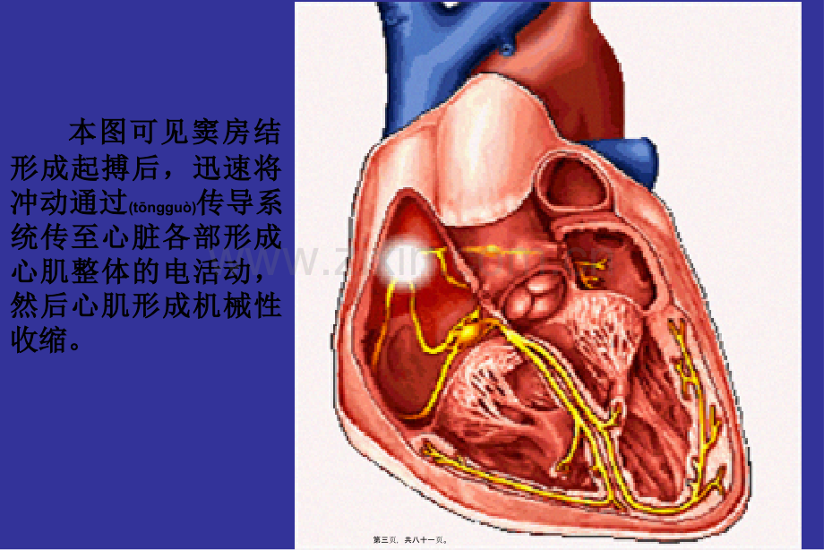 爱爱医资源-心电图绝好.ppt.ppt_第3页