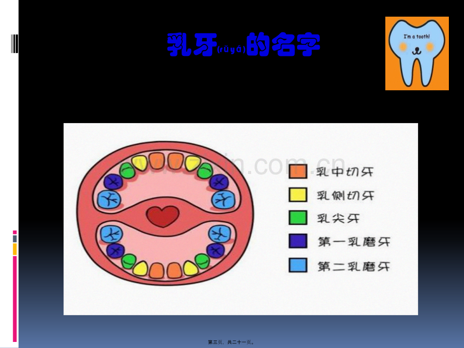 爱护牙齿-从现在做起.pptx_第3页