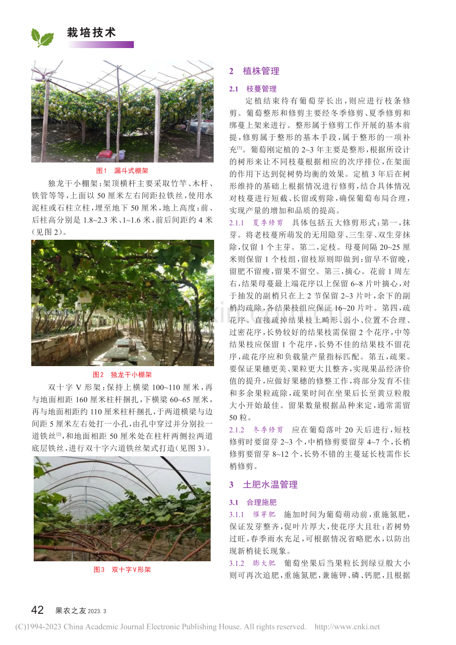 无公害葡萄园地建设以及栽培种植要点分析_付飞标.pdf_第2页