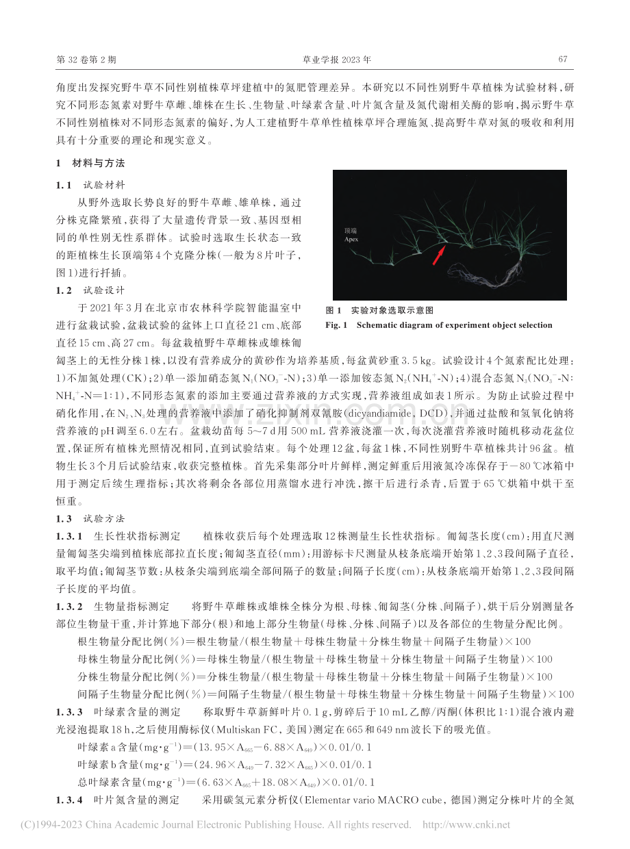 野牛草雌雄株对不同形态氮素的生理响应差异_郭丽珠.pdf_第3页