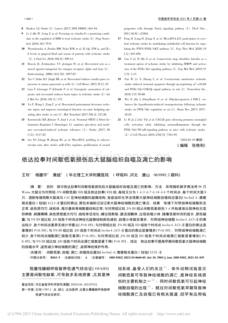 依达拉奉对间歇低氧损伤后大鼠脑组织自噬及凋亡的影响_王玲.pdf_第1页