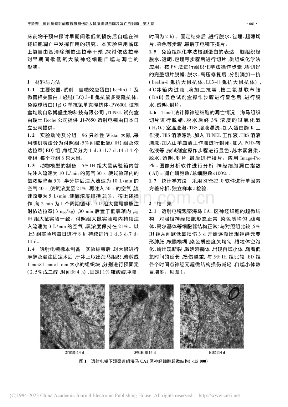 依达拉奉对间歇低氧损伤后大鼠脑组织自噬及凋亡的影响_王玲.pdf_第2页