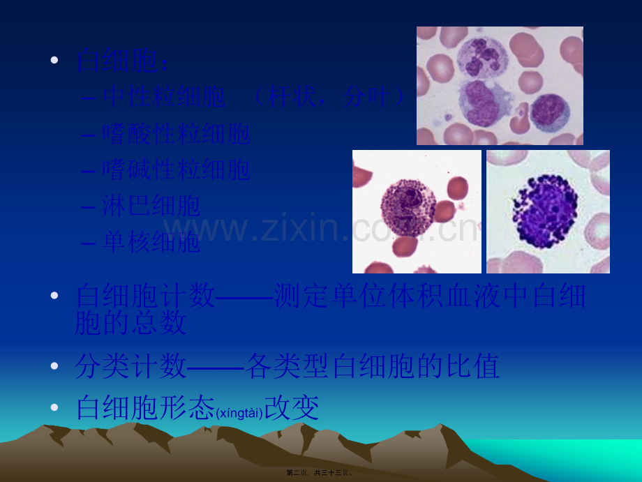 白细胞计数与分类.ppt_第2页