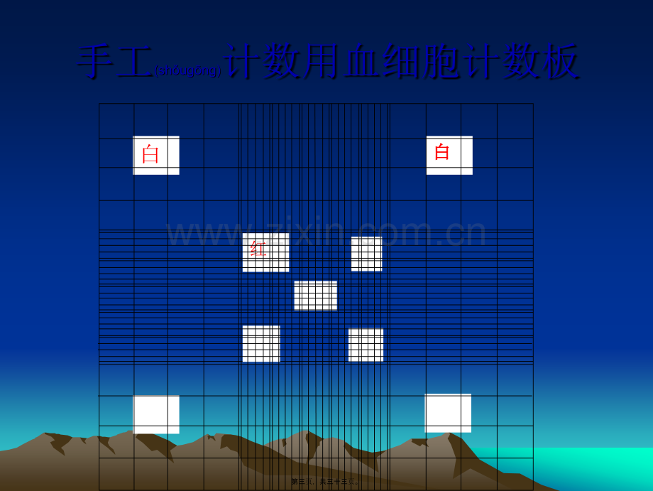 白细胞计数与分类.ppt_第3页