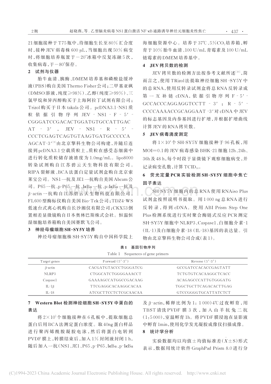 乙型脑炎病毒NS1蛋白激活...通路诱导神经元细胞炎性焦亡_赵晓燕.pdf_第2页