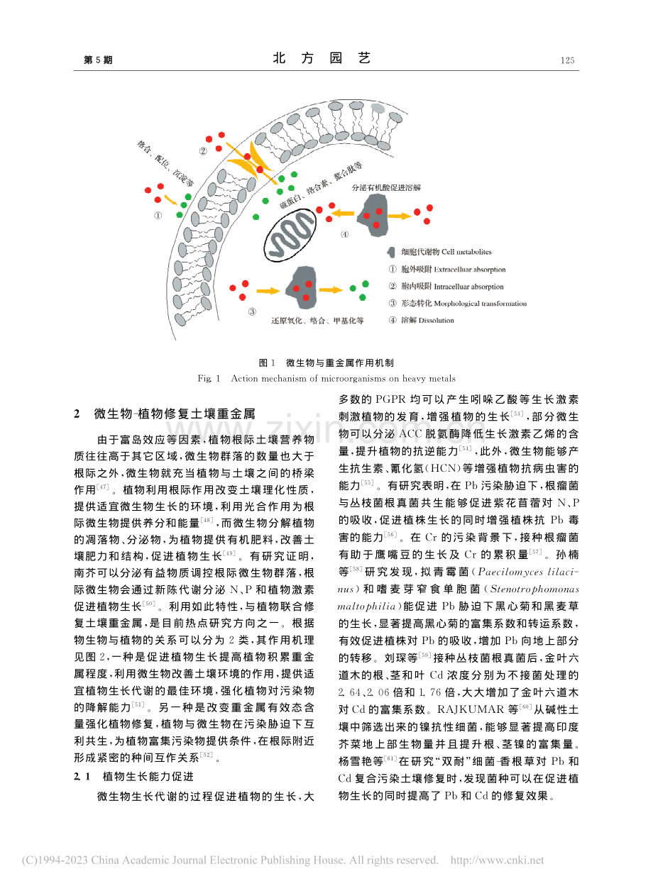 微生物修复农田土壤重金属污染技术研究进展_杨海龙.pdf_第3页