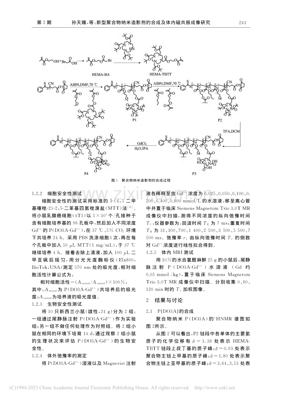 新型聚合物纳米造影剂的合成及体内磁共振成像研究_孙天赐.pdf_第3页