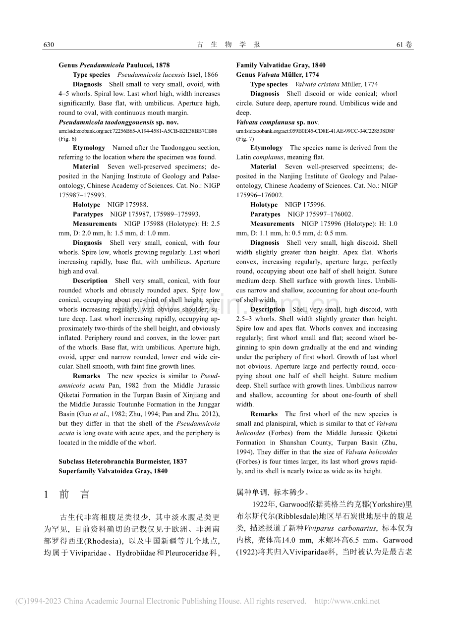 新疆吐鲁番盆地桃树园晚二叠世非海相腹足类_朱祥根.pdf_第3页