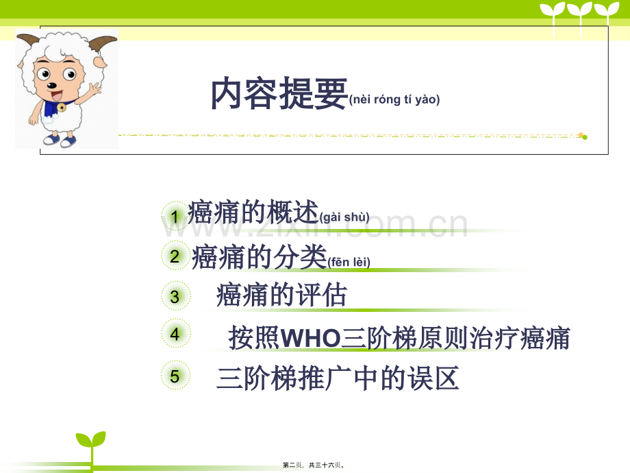 癌痛.ppt_第2页