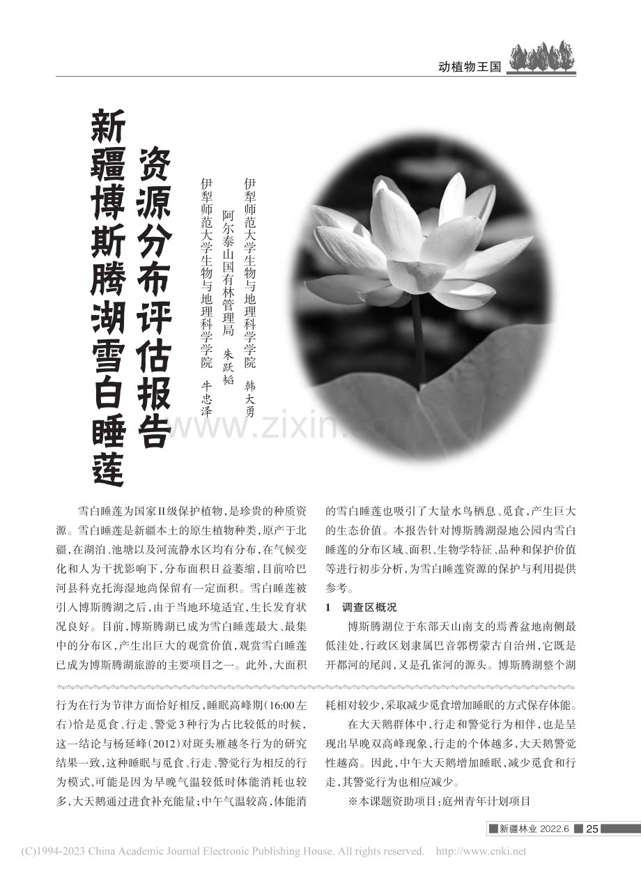 新疆博斯腾湖雪白睡莲资源分布评估报告_牛忠泽.pdf_第1页