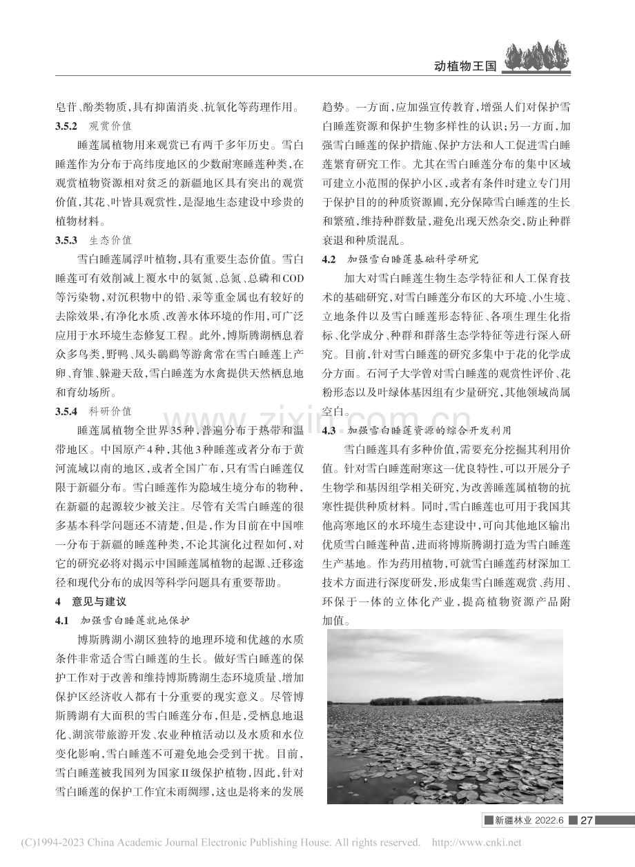 新疆博斯腾湖雪白睡莲资源分布评估报告_牛忠泽.pdf_第3页