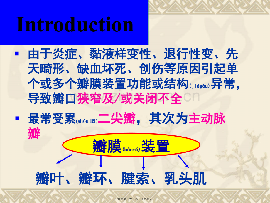 瓣膜性心脏病.ppt_第2页