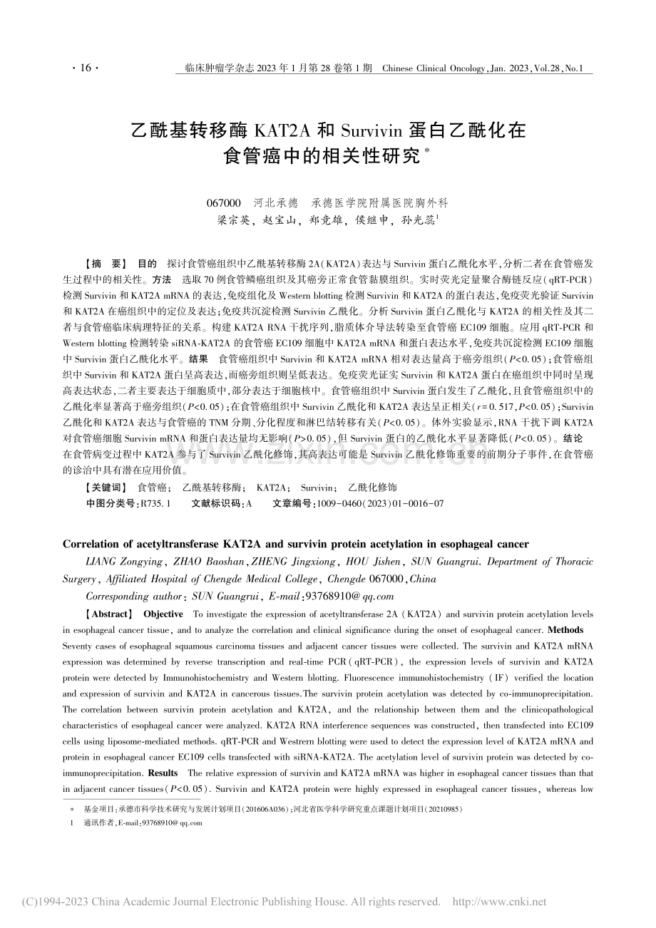 乙酰基转移酶KAT2A和S...酰化在食管癌中的相关性研究_梁宗英.pdf_第1页