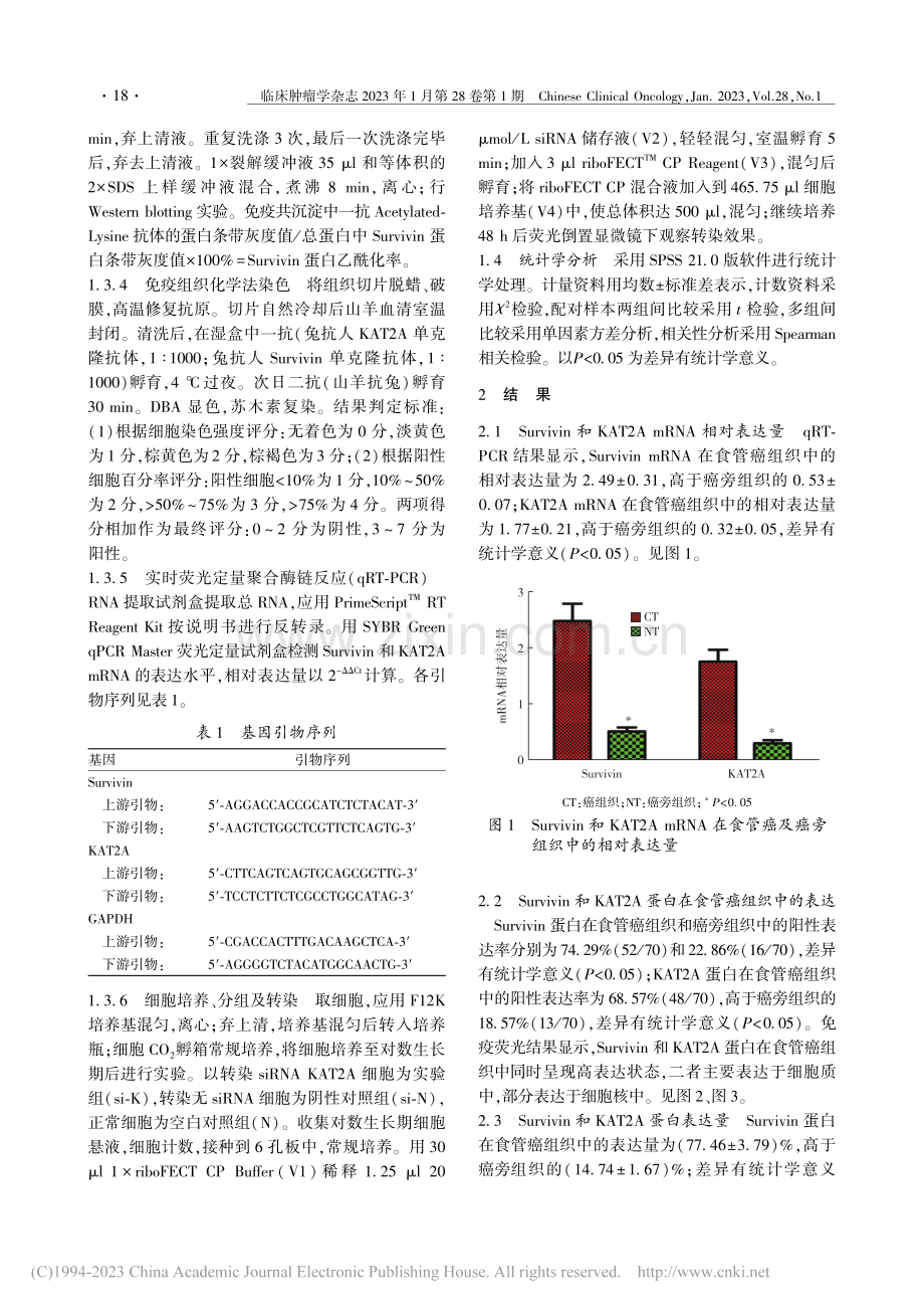 乙酰基转移酶KAT2A和S...酰化在食管癌中的相关性研究_梁宗英.pdf_第3页