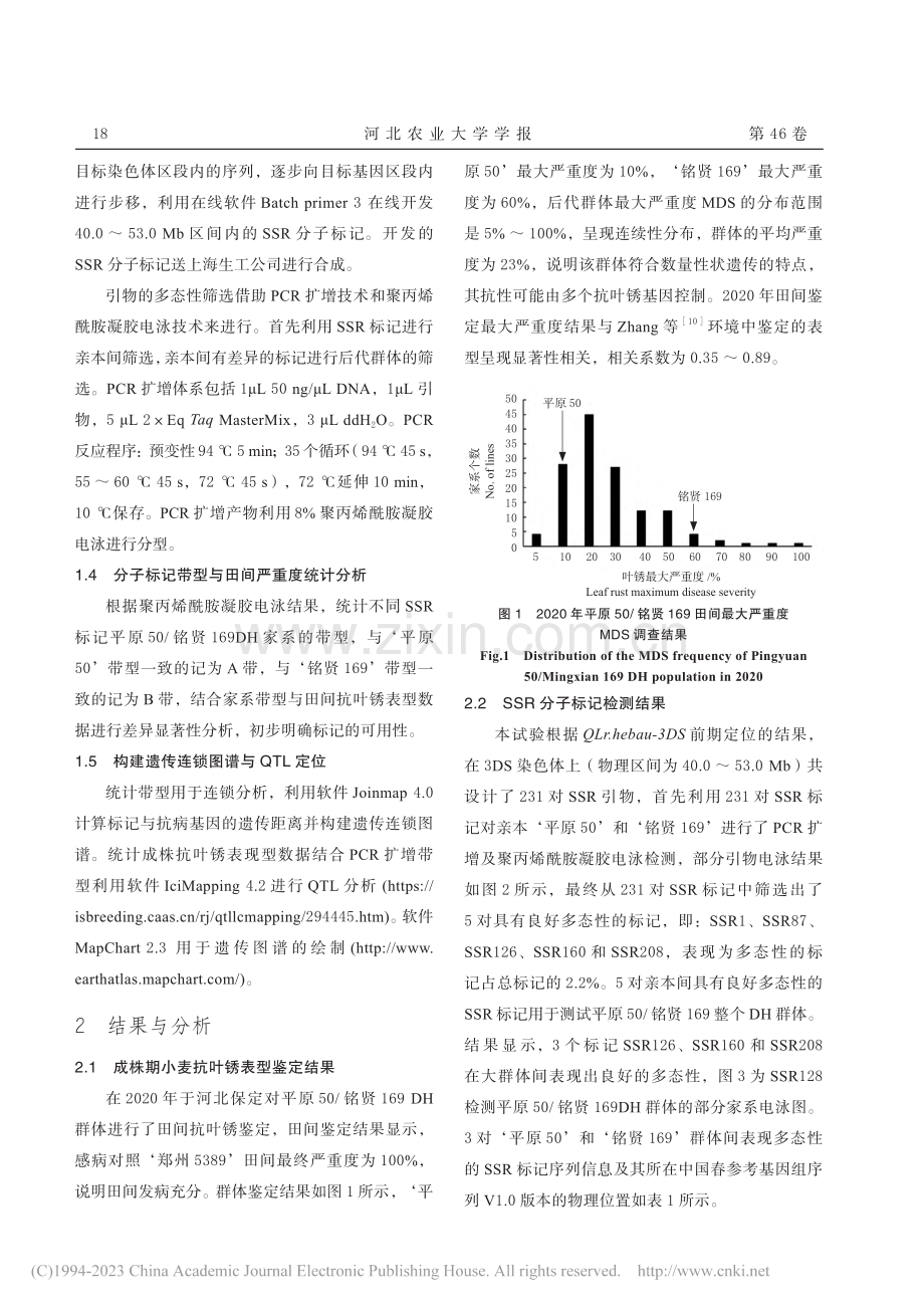 小麦慢叶锈QTL位点QLr...u-3DS的SSR标记开发_董海焦.pdf_第3页