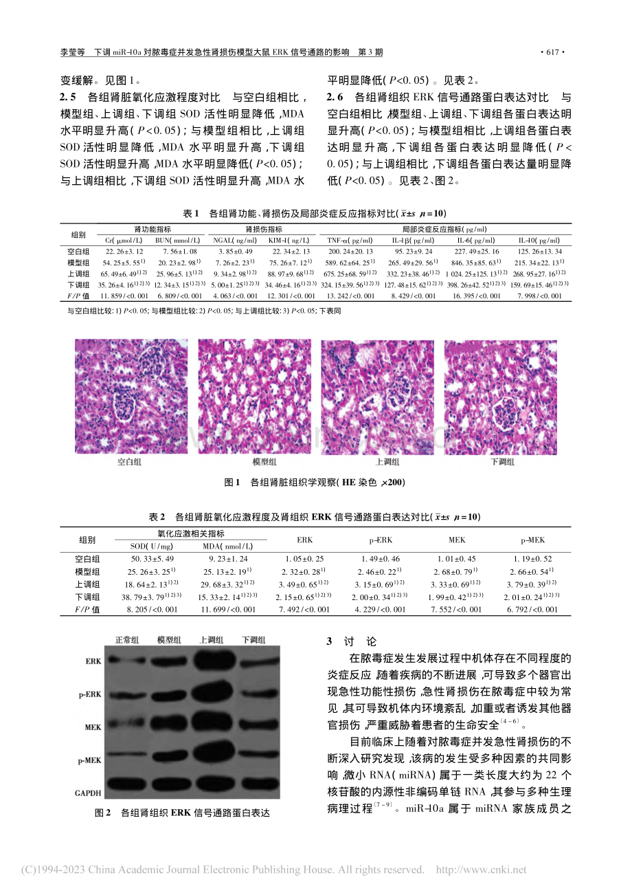 下调miR-10a对脓毒症...型大鼠ERK信号通路的影响_李莹.pdf_第3页