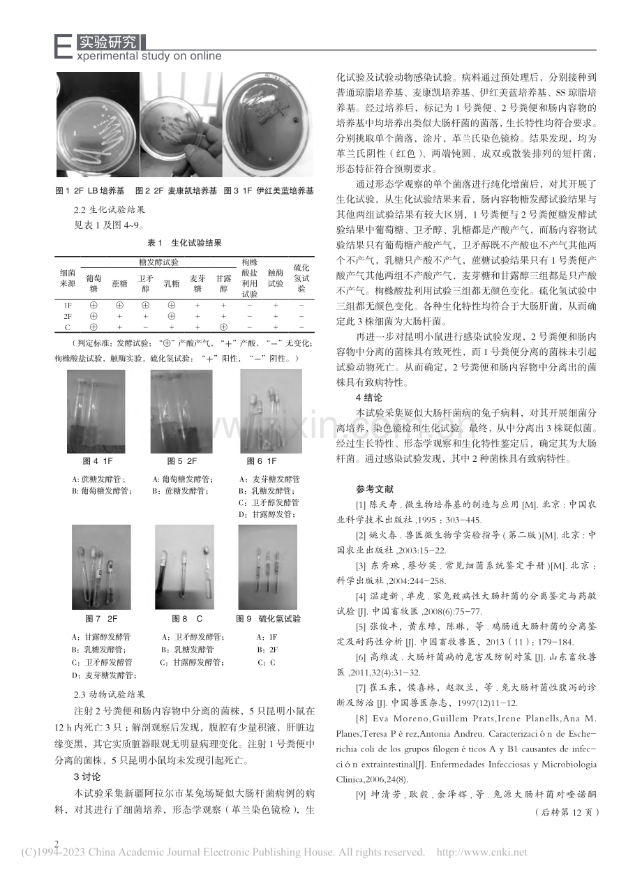 兔源大肠杆菌的分离鉴定_王新新.pdf_第2页