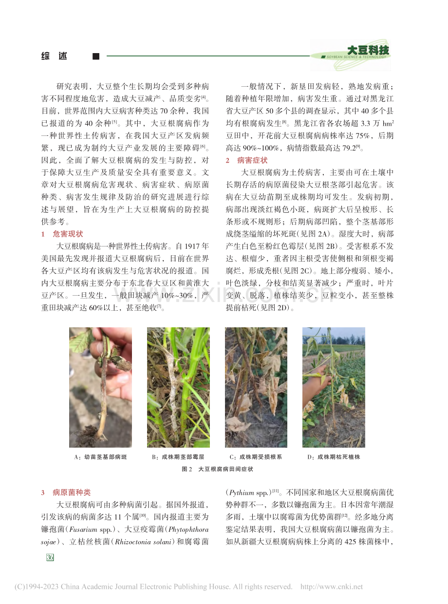 我国大豆根腐病研究进展_陈夕军.pdf_第3页