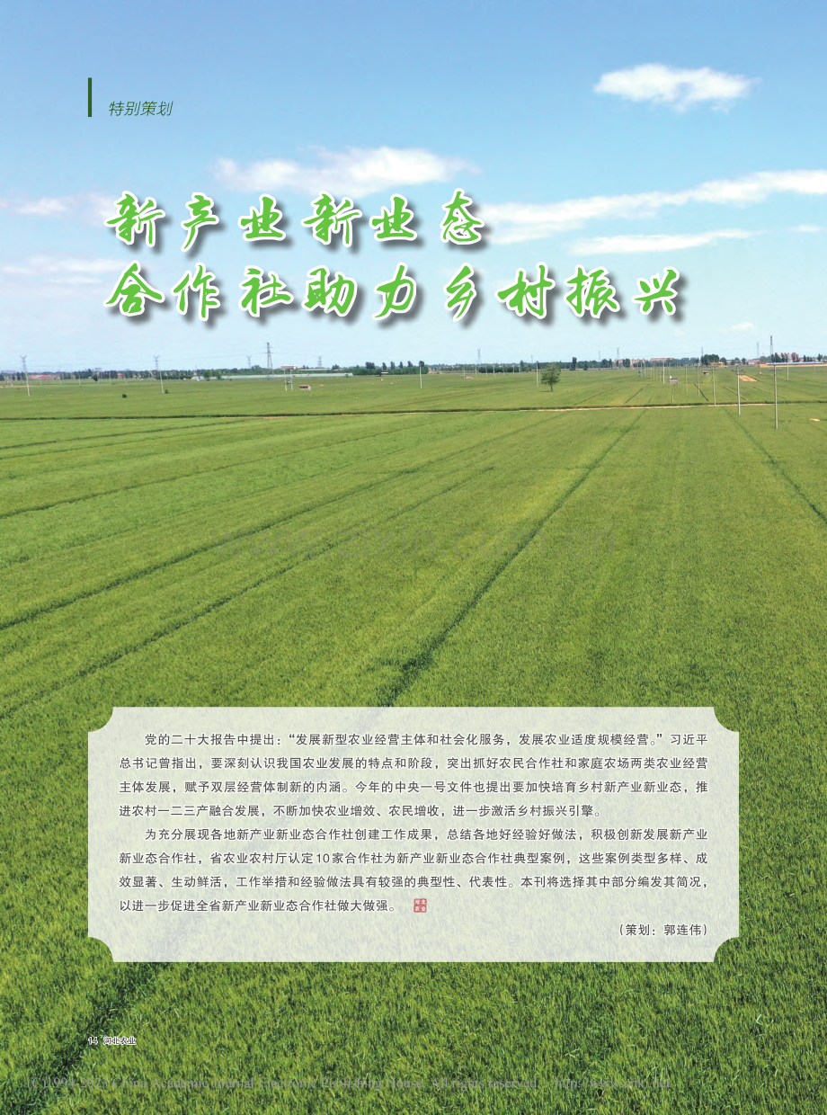 新产业新业态合作社助力乡村振兴_郭连伟.pdf_第1页