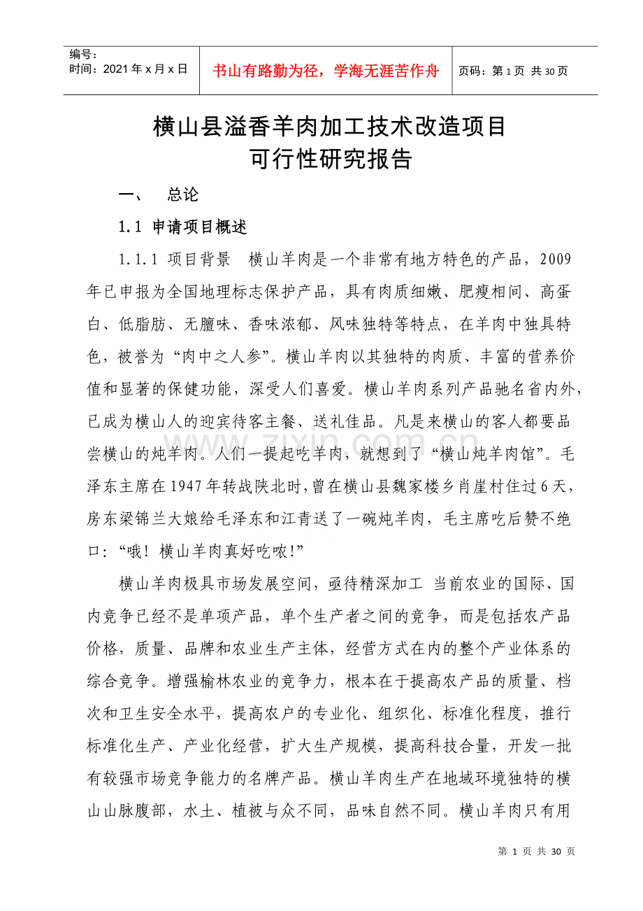 溢香羊肉加工技术改造项目可行性研究报告.docx_第1页